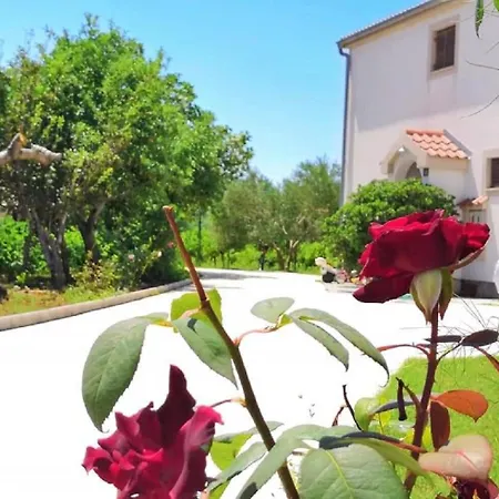 Ljilja Apartament